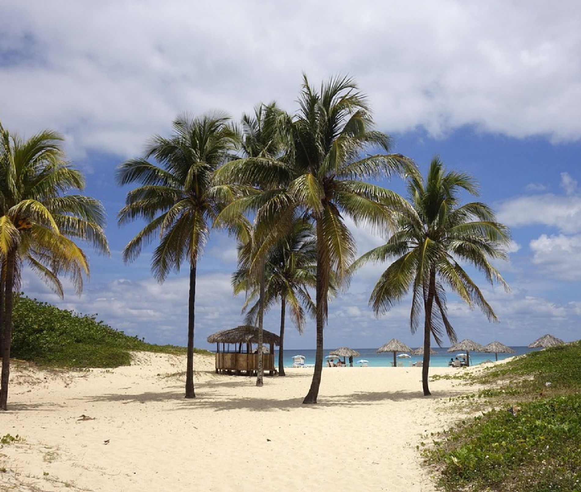 tu agencia de viajes, turismo, pasadias, transporte en ibagué, colombia