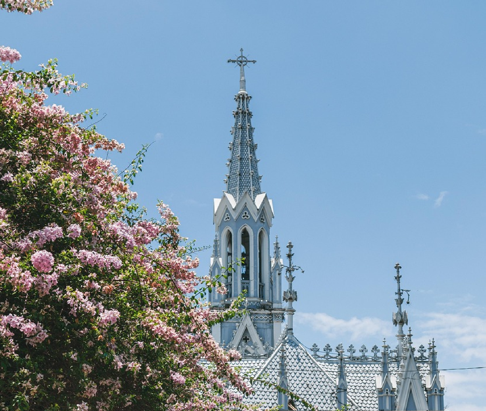 tu agencia de viajes, turismo, pasadias, transporte en ibagué, colombia