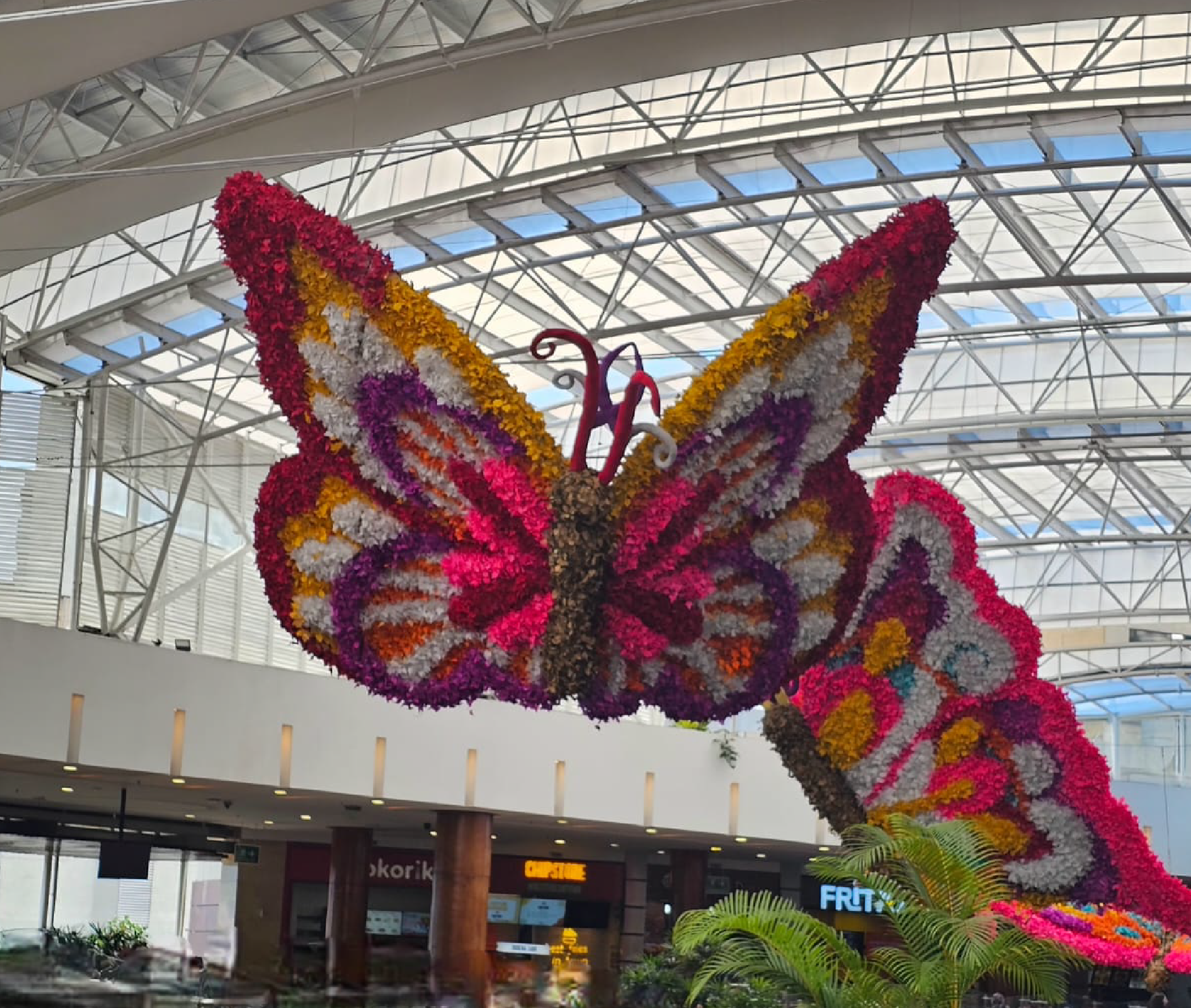 tu agencia de viajes, turismo, pasadias, transporte en ibagué, colombia