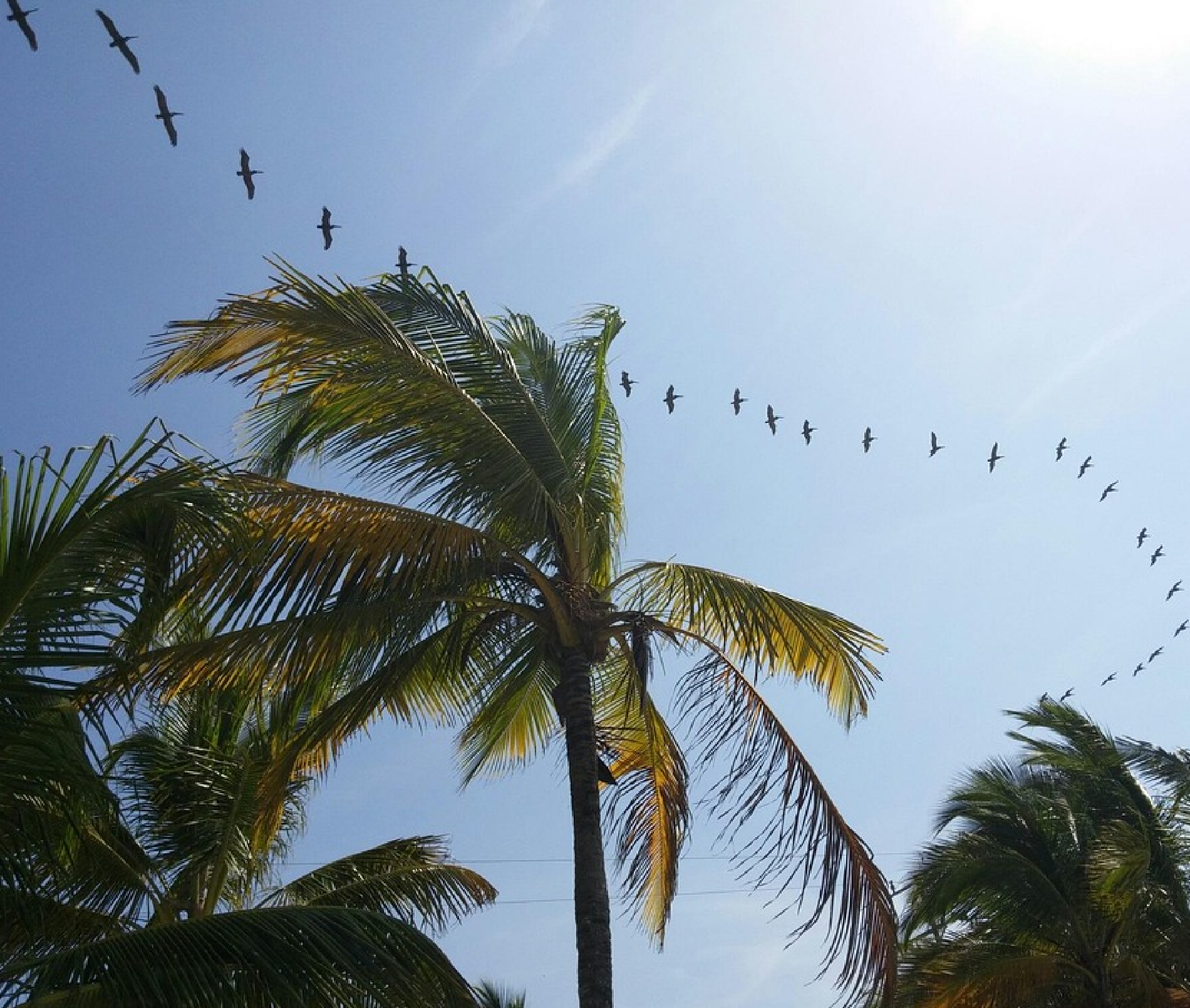 tu agencia de viajes, turismo, pasadias, transporte en ibagué, colombia